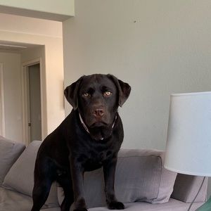 Meet your Posher, Marc